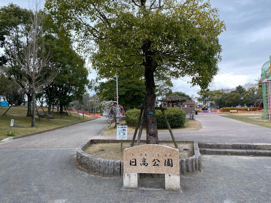 刈谷市日高公園　　梅の花が綺麗です