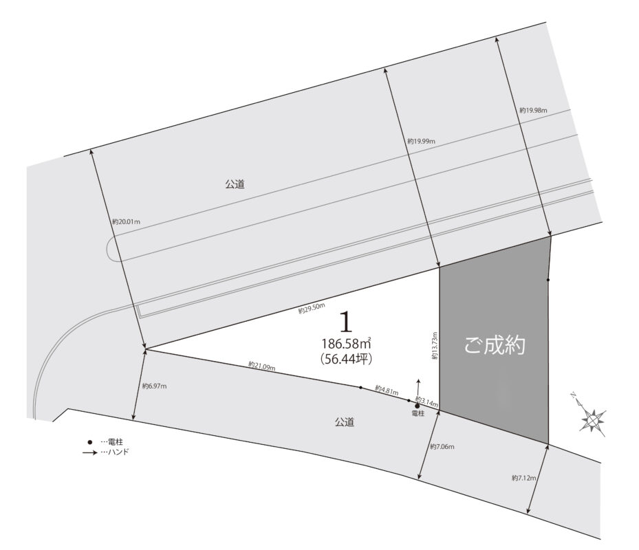 碧南市住吉町の森１