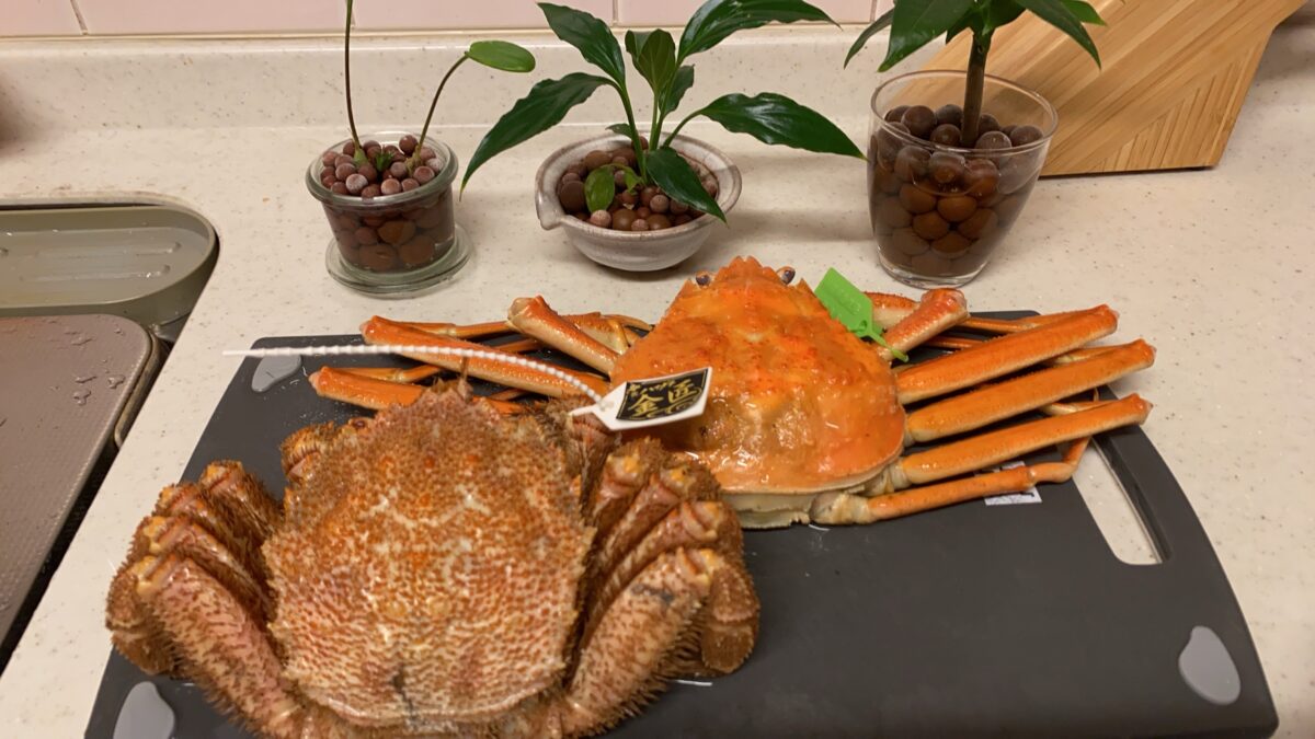 蟹🦀が美味しい季節になりました