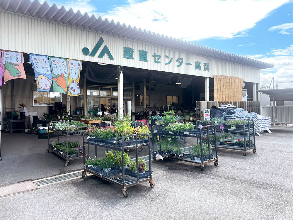 JAあいち中央産直センター高浜